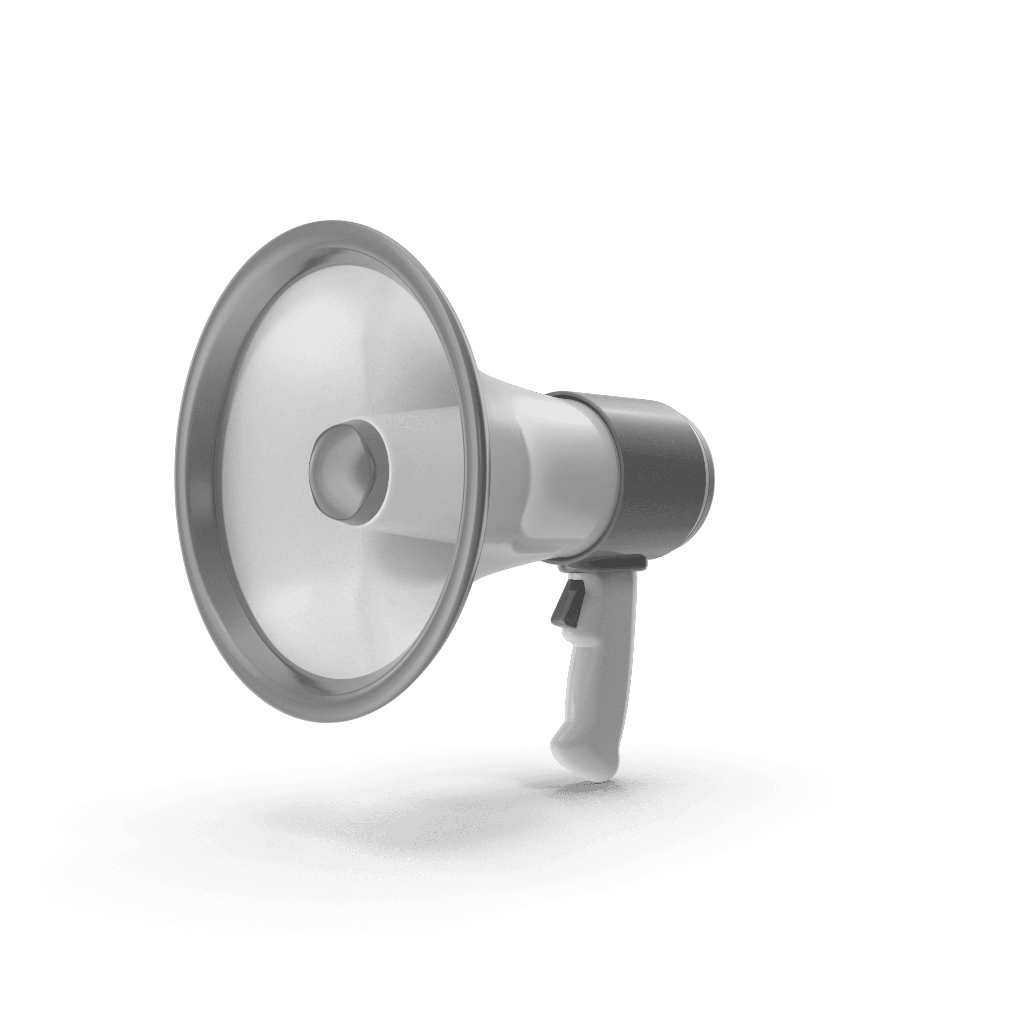 Icon IT Coaching